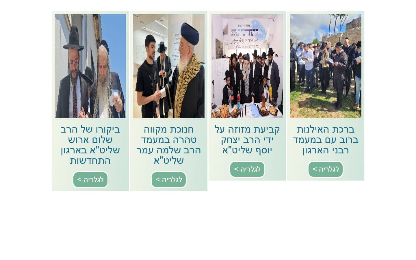 התחדשות — עמותה