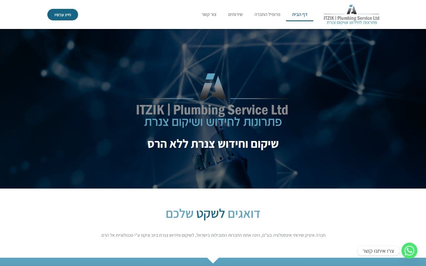 איציק אלקטרוניק — אלקטרוניקה